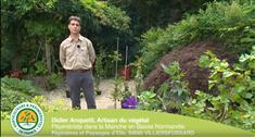 Comment planter vos grimpantes : clématite, glycine,...