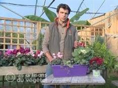 Comment bien nourrir ses plantes ?